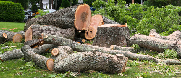 Best Firewood Processing and Delivery  in Mattituck, NY